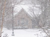 IMG_0260.jpg