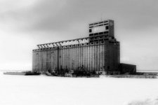grain El 1153 BW.jpg