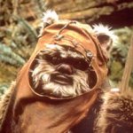 ewok.jpg