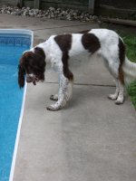 buddy and frog 005.jpg