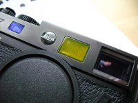 IMG_3460.jpg