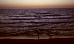 beach1.jpg