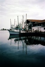 Summicron_35mm_small_2_.jpg