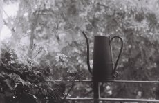 J8_F1000008.jpg
