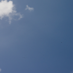 L1004574.png