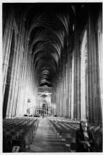 151109-35Fomapan200-16.jpg