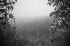 RFF Scan-130313-0013.jpg