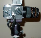 L1010407.jpg