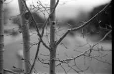 j9 2m string 02_19_2011 100dpi.jpg