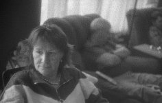 img445.jpg