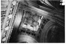 151109-35Fomapan200-21.jpg