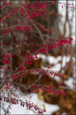 091219-15big.jpg