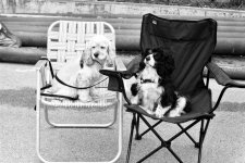 lawnchairpair.jpg