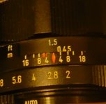 L1010173 cropped.jpg