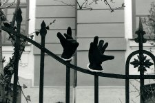 Handsup.jpg