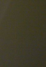 L1010030crop.jpg