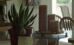 50 lens test 006.jpg