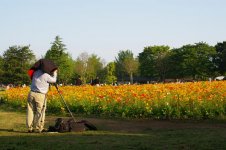showa view camera small.jpg