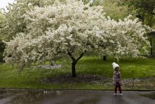 BrklynBotanical Child.jpg