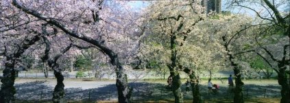 pano6.jpg