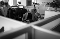 L1006260.jpg