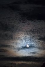 51629422161_d7385f3b86_c.jpg