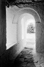 scan4.jpg