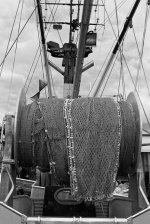 B&W_Net-at-the-Ready_luf.jpg
