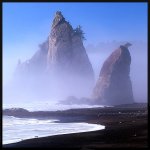 SeastacksandFogVertSmallBorder.jpg