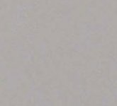 Canon 5D 200 ASA.jpg