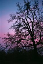 06 Roll57 Frm26A ff.jpg