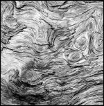 Whorls_BW_DR5.jpg