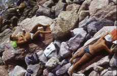 toplessbeach.jpg