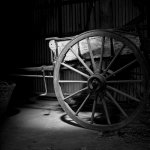 Hassy_BW07_006.jpg
