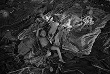 L1002867-2_bw[s].jpg