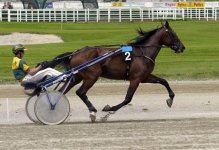 Wiener Trabrenn Verein 2.jpg