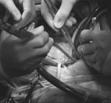 hands B&W.jpg