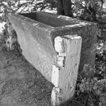 Hassy_BW07_007.jpg