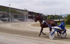 Wiener Trabrenn Verein.jpg