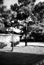 FH000029.jpg