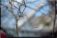 scan2243_pos_vSML.jpg