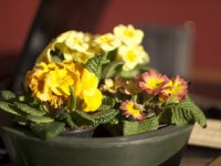 P1110358 58_new(1).jpg