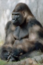 F5 extar 100 500 f4 111.jpg