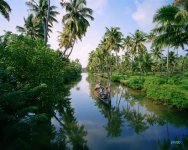 tropics-1230-72-600-1.jpg