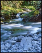 WSCreek8x10Flip.jpg