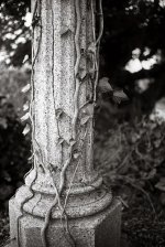 P30_2_gallery.jpg