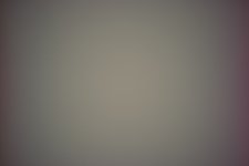 L1000702.jpg