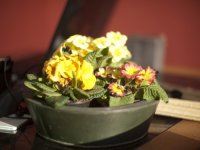 P1110360 58+_new(1).jpg