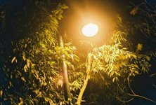 neighbourhood at night 1.jpg