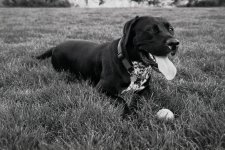 Canon 5D "scans"_1.jpg